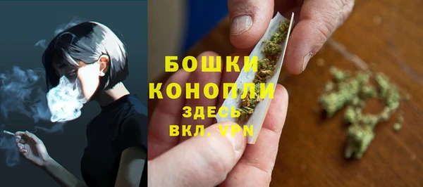гидра Липки