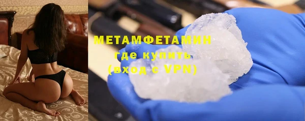 гидра Липки
