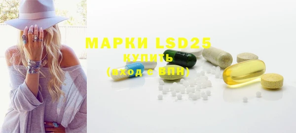 гидра Липки