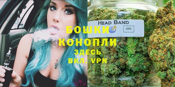 гидра Липки