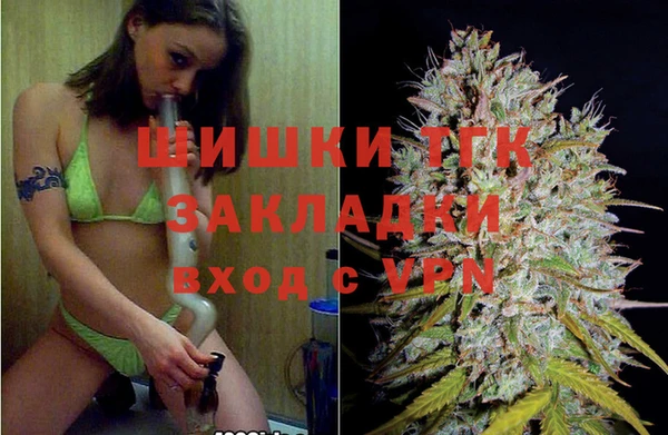 гидра Липки