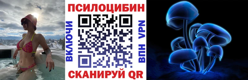 Псилоцибиновые грибы Psilocybe  Новотроицк 