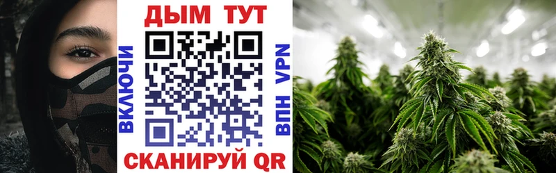 кракен как войти  Новотроицк  Бошки марихуана Bruce Banner 